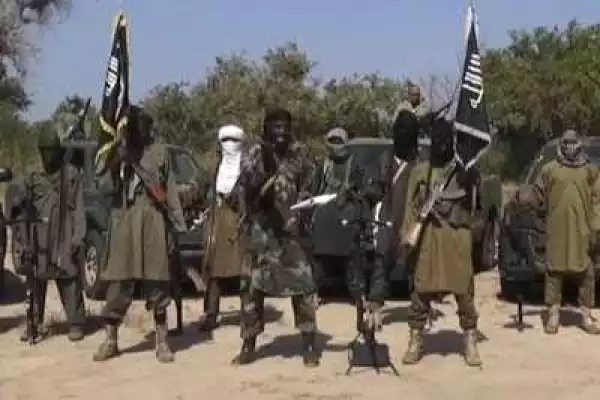 Suspected Boko Haram Members Abduct 7 Women In Borno State